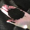Magic Manure - Image 2